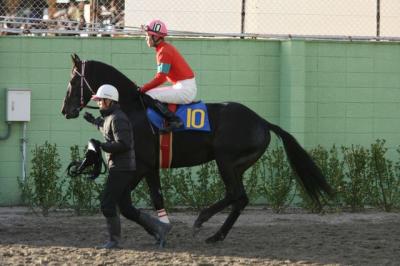 ファイル 146-5.jpg