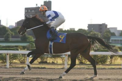 ファイル 147-1.jpg