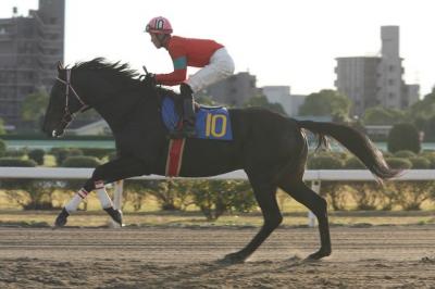 ファイル 147-2.jpg