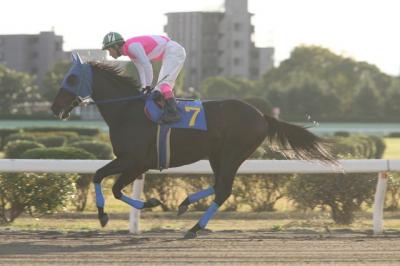 ファイル 147-3.jpg