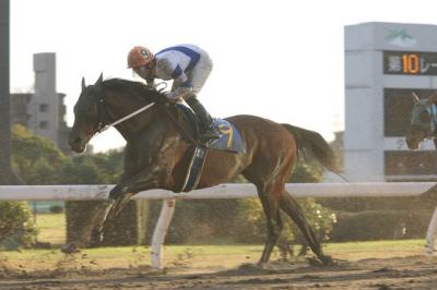 ファイル 147-4.jpg