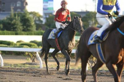 ファイル 148-2.jpg