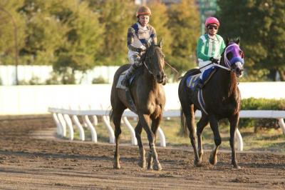 ファイル 148-3.jpg