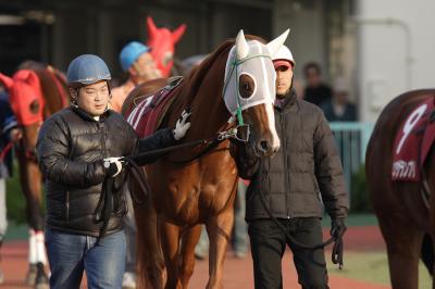 ファイル 149-2.jpg