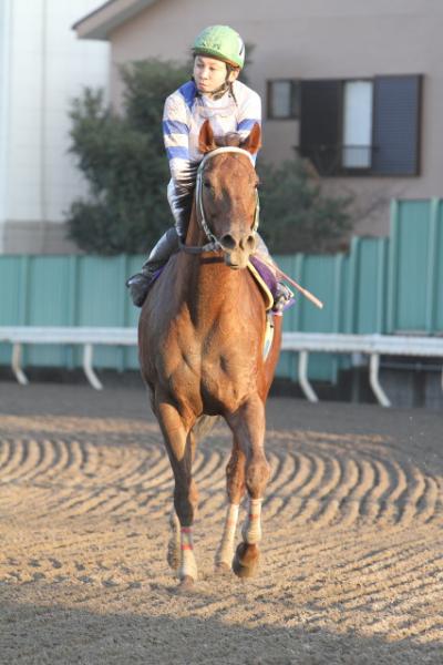 ファイル 151-1.jpg