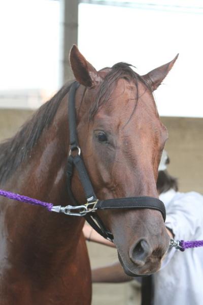 ファイル 151-3.jpg