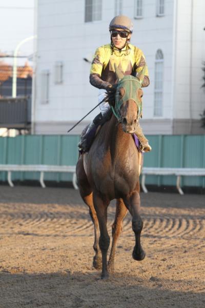 ファイル 151-4.jpg