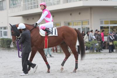 ファイル 155-1.jpg