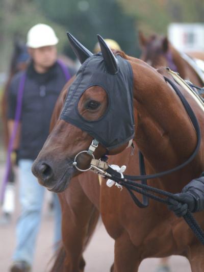 ファイル 156-1.jpg