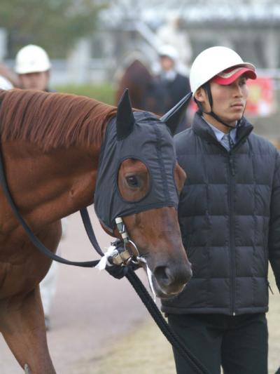 ファイル 156-3.jpg