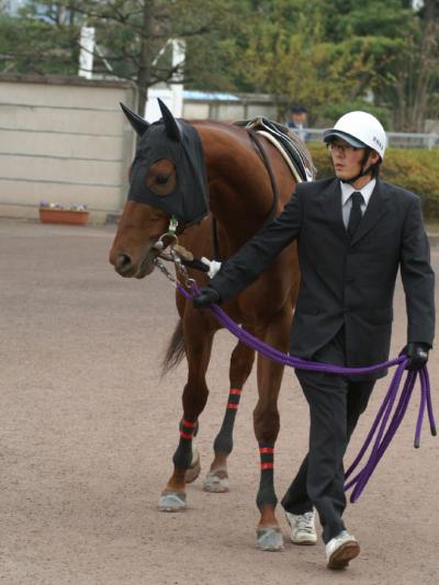 ファイル 157-1.jpg