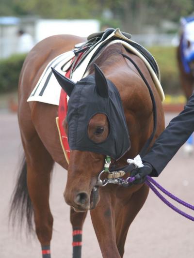 ファイル 157-2.jpg