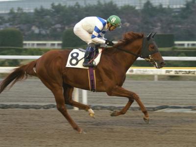 ファイル 158-2.jpg