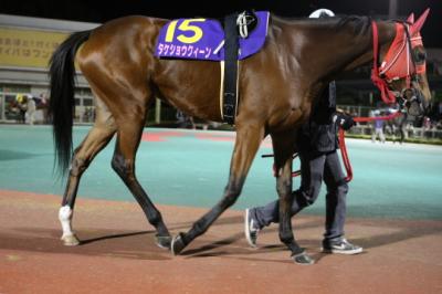 ファイル 16-1.jpg