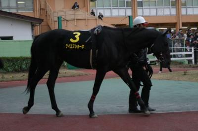 ファイル 161-1.jpg