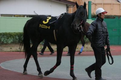 ファイル 161-3.jpg