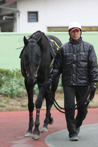 ファイル 162-2.jpg