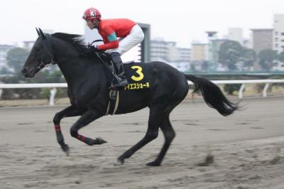 ファイル 163-1.jpg