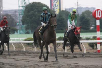 ファイル 163-3.jpg