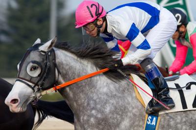 ファイル 164-1.jpg