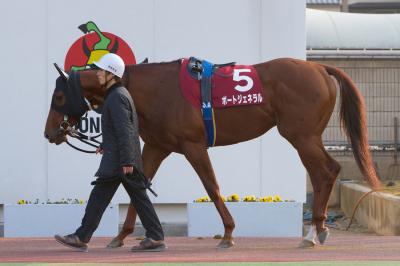 ファイル 164-2.jpg