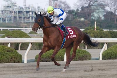 ファイル 164-3.jpg