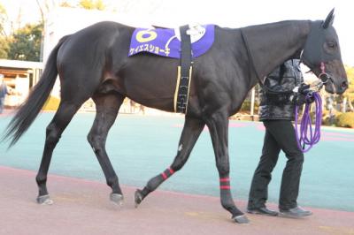 ファイル 165-2.jpg