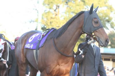 ファイル 166-5.jpg