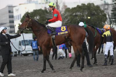 ファイル 167-3.jpg