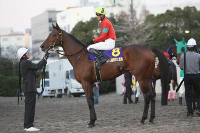 ファイル 167-4.jpg