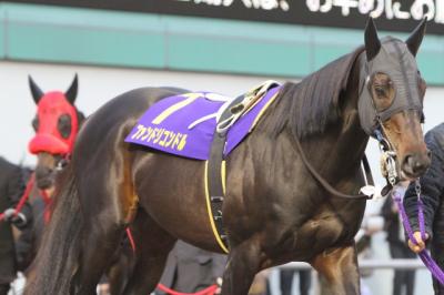 ファイル 168-5.jpg