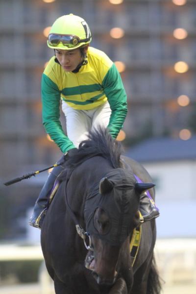 ファイル 169-1.jpg