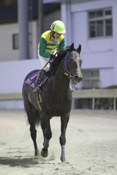 ファイル 169-2.jpg