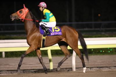 ファイル 17-2.jpg