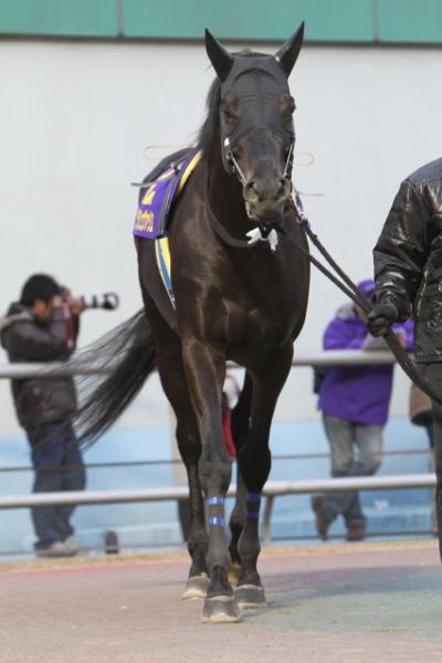 ファイル 170-4.jpg