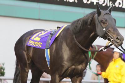 ファイル 170-5.jpg