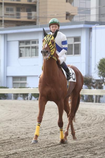 ファイル 172-3.jpg