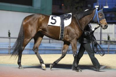 ファイル 173-2.jpg