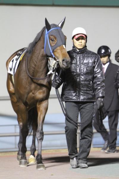 ファイル 173-3.jpg