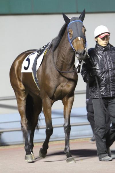 ファイル 173-4.jpg