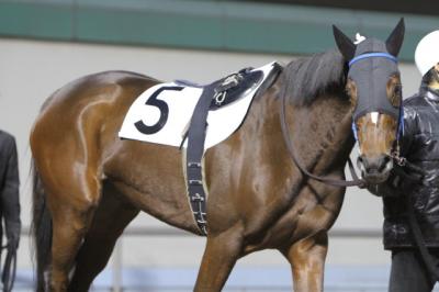 ファイル 173-5.jpg