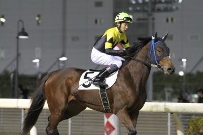 ファイル 174-2.jpg