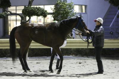 ファイル 174-4.jpg