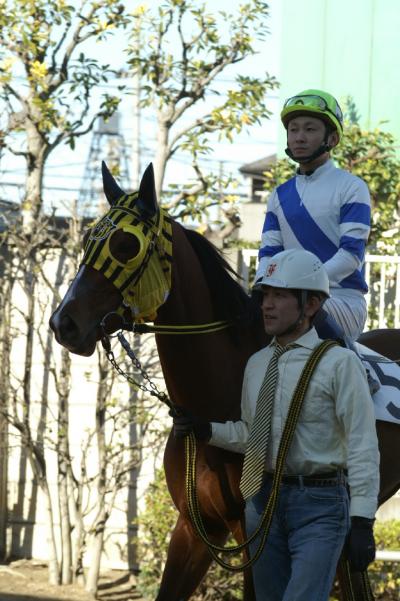 ファイル 175-1.jpg