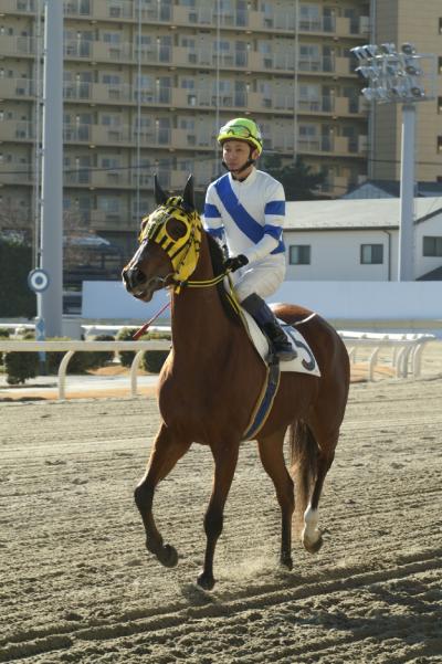 ファイル 175-2.jpg