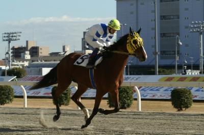 ファイル 175-3.jpg