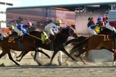 ファイル 177-4.jpg