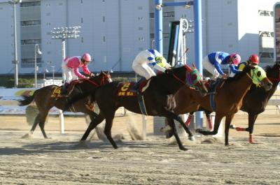 ファイル 177-5.jpg