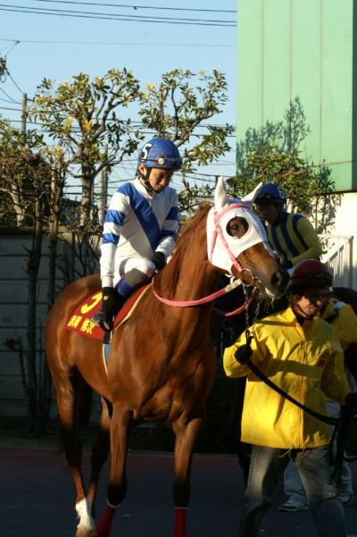 ファイル 178-2.jpg