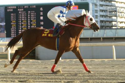 ファイル 178-4.jpg